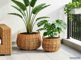 Planter Basket GENDT 2 pcs Natural Brown Kubu Rattan 42020954