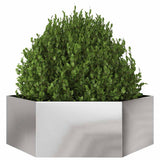 Garden Planter Hexagon 138x120x45 cm Stainless Steel 851140