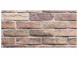 Wall Panels 10 pcs 100 x 50 cm Brown and Grey EPS Foam 42046103