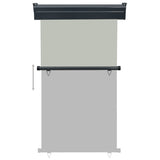 ZNTS Balcony Side Awning 105x250 cm Grey 48416