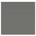 ZNTS Roller Blind Blackout Grey 165x150 cm Fabric Width 161.6 cm Polyester 4011141