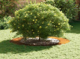 suitable for Flat Tree Rings 5 pcs Brown 60 / 90 cm 873717