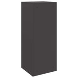 Parcel Drop Box with Storage Black 41 x 38 x 103 cm Steel 874933