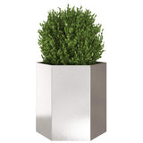 Garden Planter 2 pcs Hexagon 46x40x45 cm Stainless Steel 851117