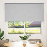 ZNTS Roller Blind Blackout Light Grey 160x175 cm Fabric Width 156.6 cm Polyester 4011426