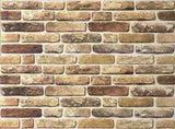 Wall Panels 10 pcs Dark Sand 100 x 50 cm EPS Foam 332926