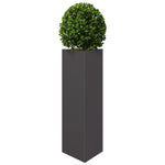 ZNTS Garden Planters 2 pcs Black Triangular 30x26x75 cm Steel 851144