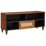 TV Cabinet with Shelf Brown 100 x 33.5 x 46 cm Solid Mango Wood 4018896