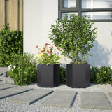 ZNTS Garden Planter 2 pcs Black Hexagon 46x40x45 cm Steel 851109