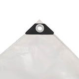 Tarpaulin 650 g/m 5x6 m White 144913