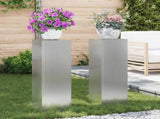 Plant Stand 2 pcs Silver 24 x 24 x 75 cm Galvanised steel 865825