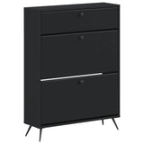 Shoe Cabinet BREDA 78 x 24 x 103 cm Engineered Wood Black 897536