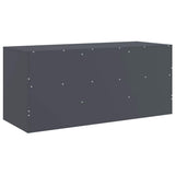 TV Cabinet Anthracite 99x39x44 cm Steel 841735