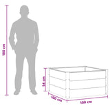 Garden Raised Bed Brown 100 x 100 x 54 cm 42038998