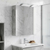Bathroom Mirror Cabinet Concrete Grey 60 x 14.5 x 70 cm 889066