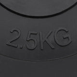 Weight Plates 6 pcs 30 kg Cement 93599