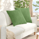 Sofa Pillows 2 pcs Light green 80 x 80 cm Corduroy Fabric 42014060