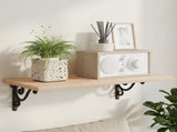 Wall Shelf Brackets 12 pcs Black 12 x 14 x 3 cm Steel 42038866