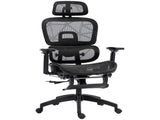 Multi-Adjustable Mesh Office Chair - Black T3398P377430