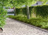 Lawn Edging 10 pcs 103 x 10 cm Steel Silver 8008436