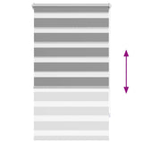 Zebra blind 70.9x120 cm Fabric Width 66.7 cm grey 240195