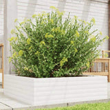 Garden Planter White 80x80x23 cm Solid Wood Pine 847199