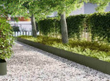 Lawn Edging 10 pcs Olive Green 100 x 0.05 x 30 cm 865973