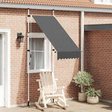 Manual Retractable Awning 100 cm Anthracite 145832