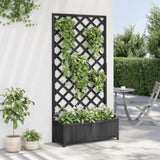 Planter with Trellis Black Solid Wood Fir 365481