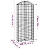 ZNTS Arched Gabion Basket 100x30x220/240 cm Galvanised Iron 153431
