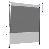 Outdoor Roller Blind Light Grey 100 x 270 cm 42037133