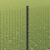 Welded Wire Fence with Post 10 x 1.6 m PVC-Coated Steel 3336580