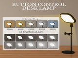 Desk Lamp 49069097