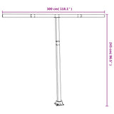 Awning Post Set Anthracite 300x245 cm Iron 315096