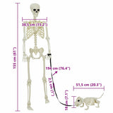 Halloween Decoration Skeleton 2 pcs White Polypropylene 42020050