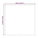 Clear Tarpaulin with Eyelets 6x6 m Polyethylene 4018529