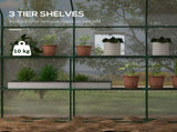 Walk-in Greenhouse with 3 Tier 12 Shelves, Small Greenhouse with Reinforced PE Cover, Garden Plant T3398P318656