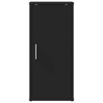 Shoe Cabinets 2 pcs Black 32x35x70 cm Engineered Wood 808957