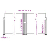 Retractable Side Awning Terracotta 100x600 cm 4004588