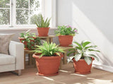 Plant Pots 6 pcs Brick Red 39 x 32 cm Plastic 3403274
