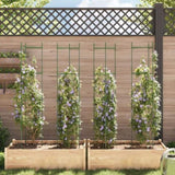 Tomato Cages 4 pcs 154 cm Steel and PP 3281485