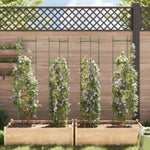 ZNTS Tomato Cages 4 pcs 154 cm Steel and PP 3281485