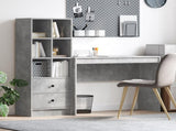 Desk with Drawer with Shelf with Storage 2 pcs Concrete Grey 3337332