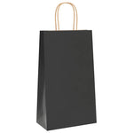 ZNTS Paper Bags 250 pcs with Handles Black 21x11x36 cm 4101645