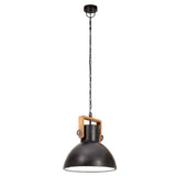 320536 Industrial Hanging Lamp 25 W Black Round 30 cm E27