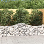 Arched Gabion Basket 200x50x60/80 cm Galvanised Iron 153393