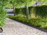 Lawn Edging 30 pcs 103 x 10 cm Steel Anthracite 8008430