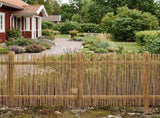 Garden Fence Carbonized 1000 x 80 cm Reed 42031272