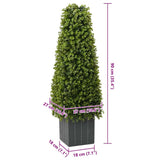 Eucalyptus Grass Tower Green 27 x 27 x 90 cm Plastic 42008330