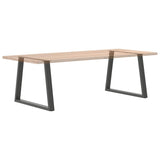 Dining Table Legs V-Shape 2 pcs Anthracite 100x cm Steel 4012582